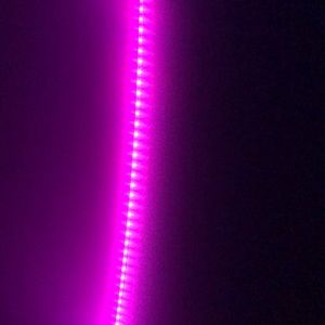 Meet your Posher, Miriam